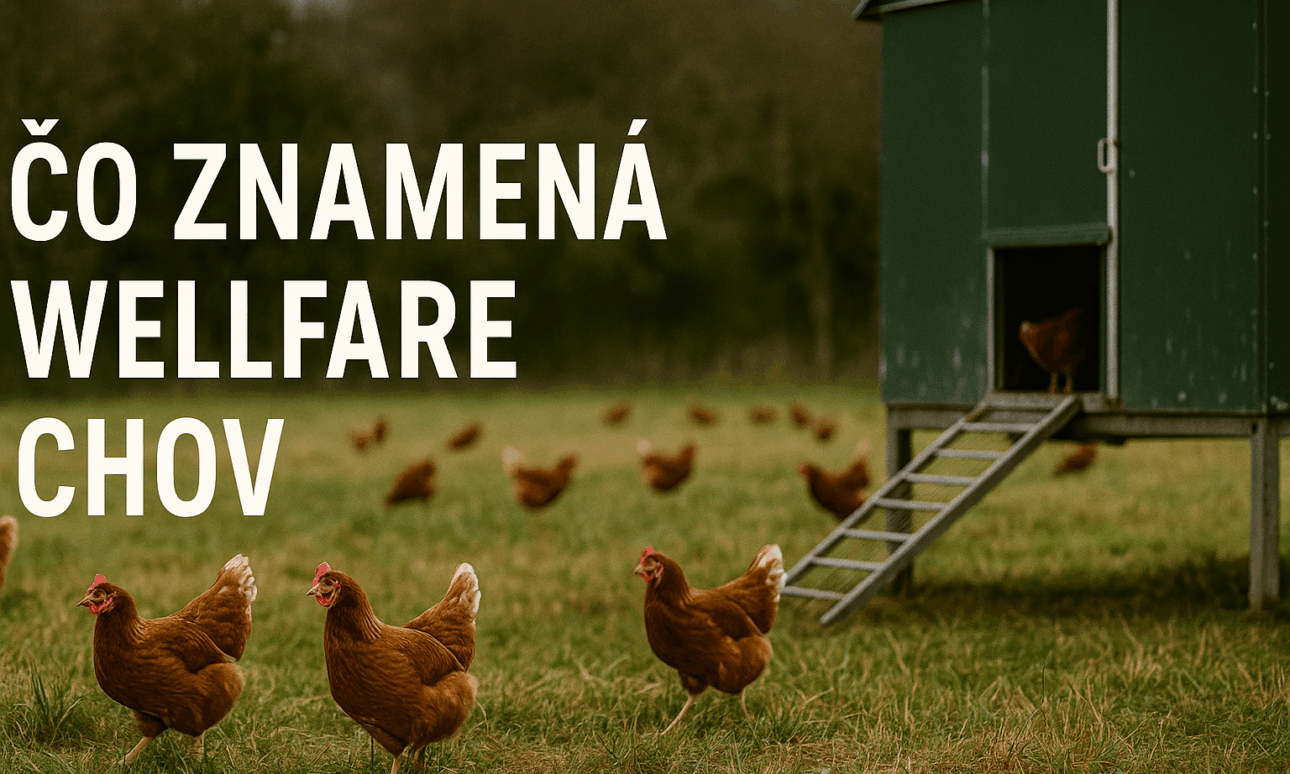 Čo znamená wellfare chov