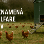 Čo znamená wellfare chov