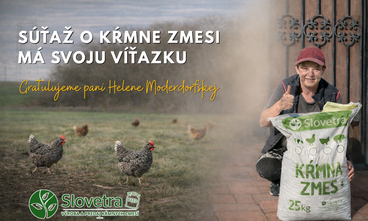 Súťaž Slovetra , web článok