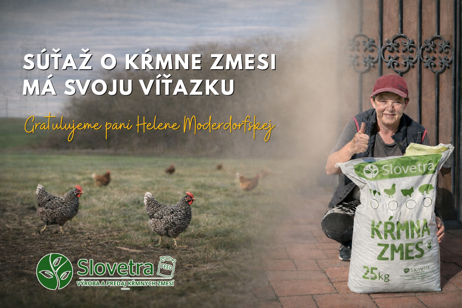 Súťaž Slovetra , web článok